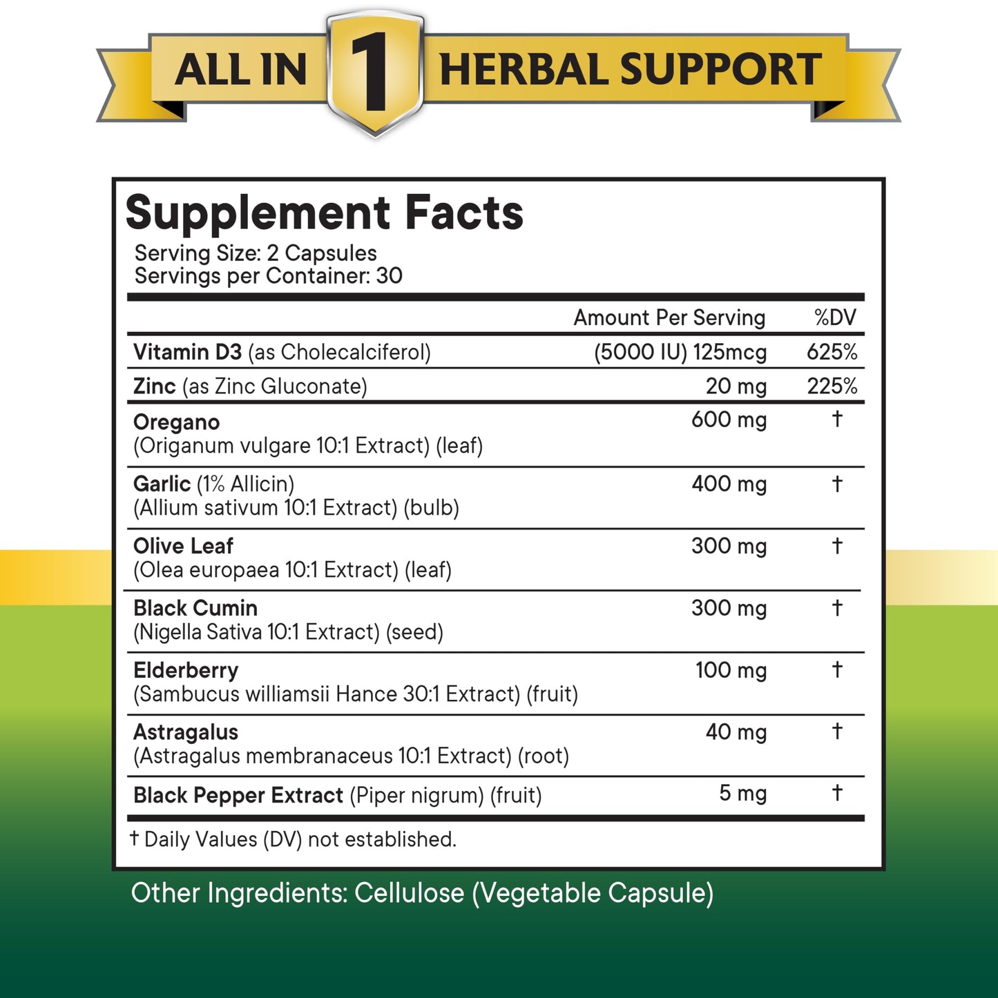 NEW AGE Oregano Oil Garlic Extract Olive Leaf with Astragalus – 60 Count