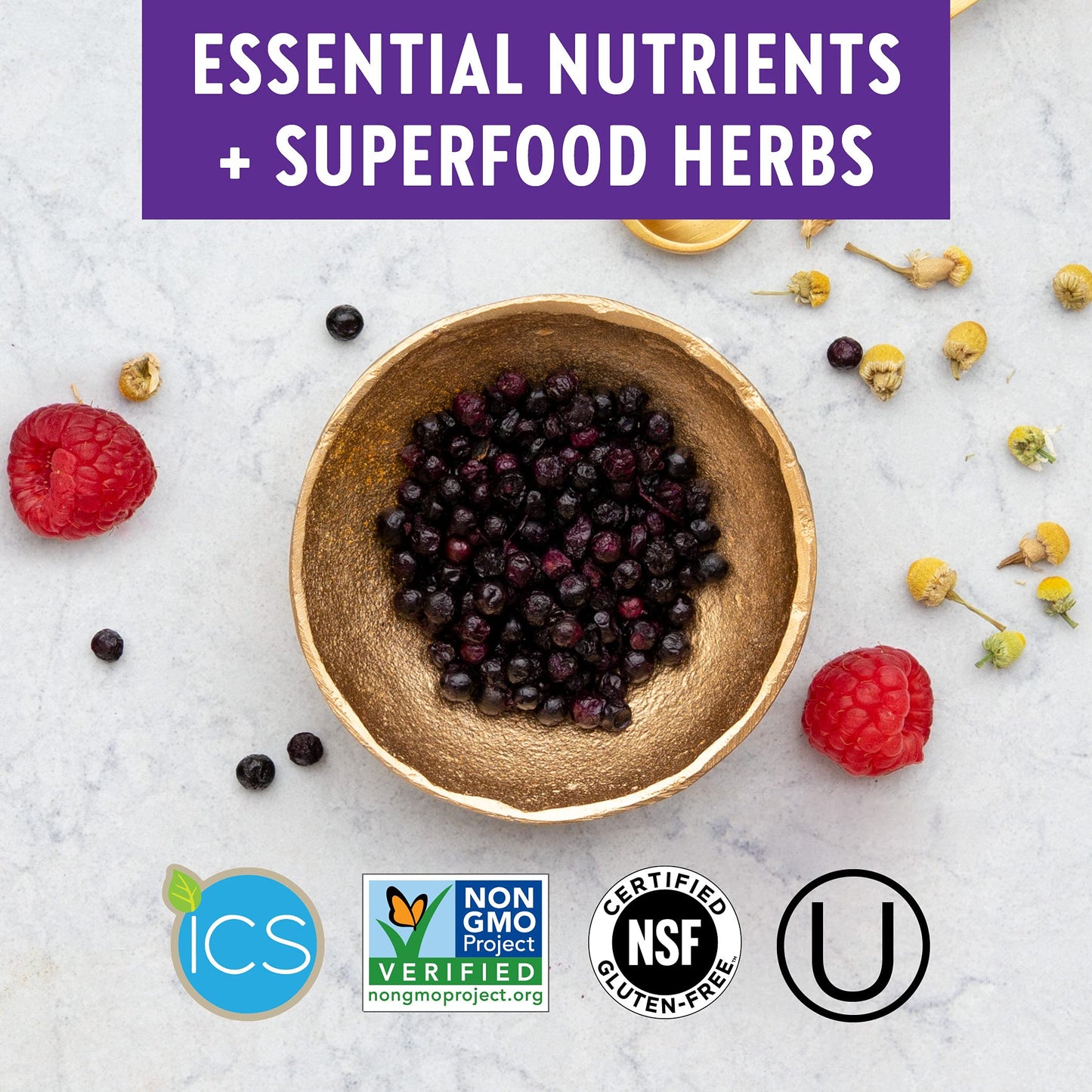 New Chapter Every Woman Multivitamin – Fermented Probiotics, Iron & Vitamin D3 (48 ct)