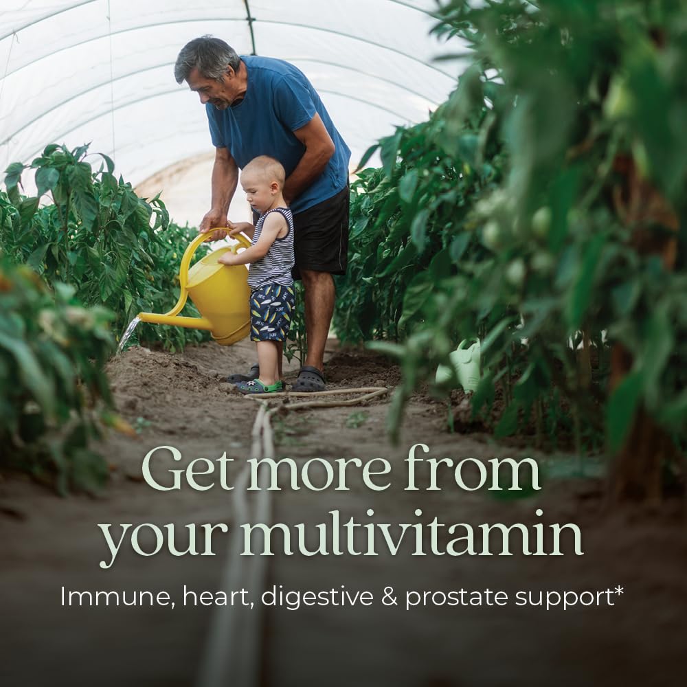 New Chapter Men's Multivitamin 50+ (48 ct) | Immune, Brain & Heart Support