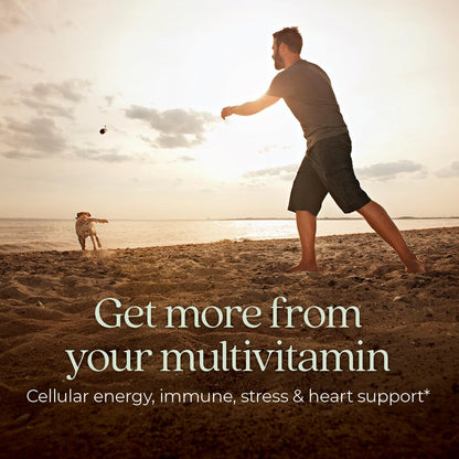 New Chapter Men's Multivitamin - Immune, Energy & Heart Support | 72 ct
