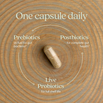 New Chapter Probiotic All-Flora - 60 ct, 2 Month Supply | Advanced Digestion & Gut Health