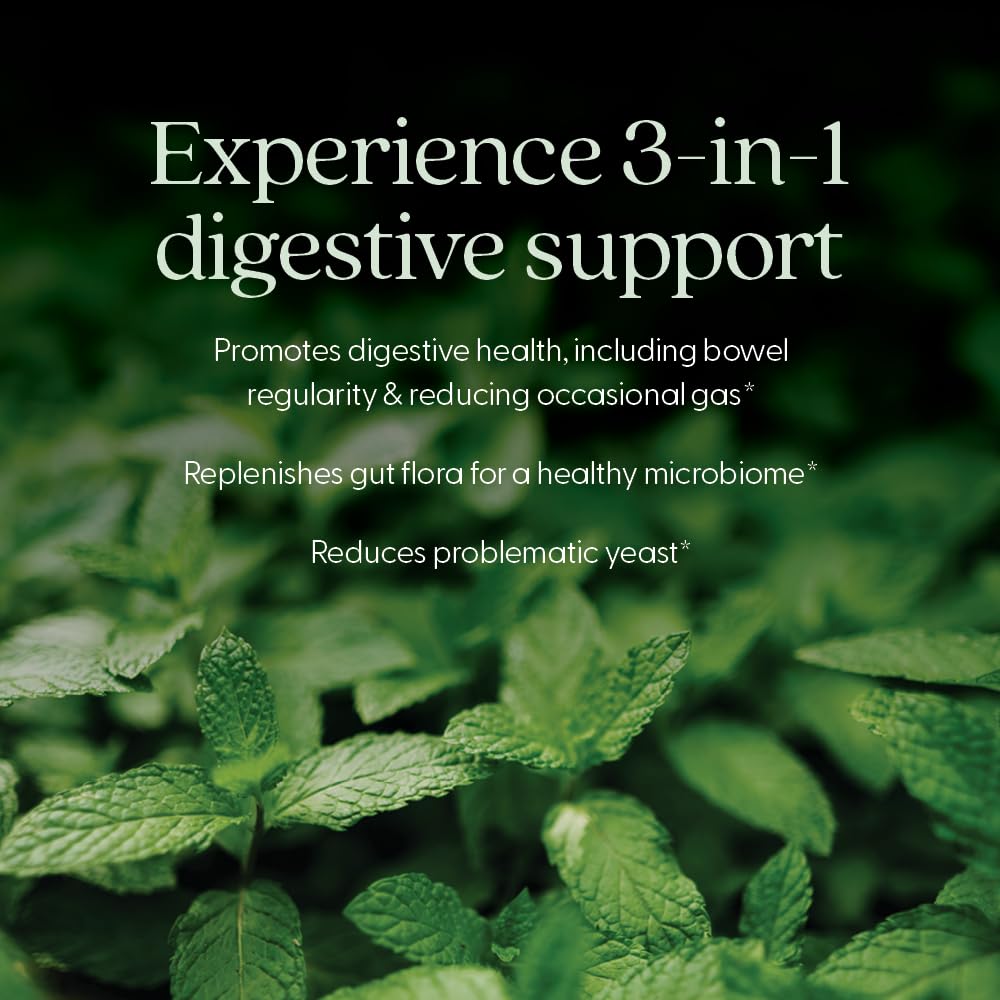 New Chapter Probiotic All-Flora - 60 ct, 2 Month Supply | Advanced Digestion & Gut Health