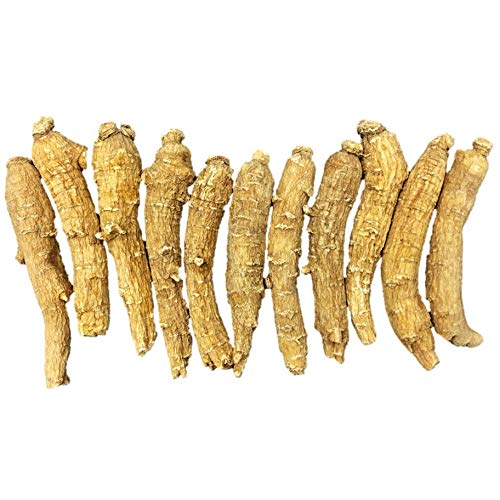 New Green Nutrition Hand-Selected A Grade American Ginseng – 4 oz Box, Medium Thin-Short