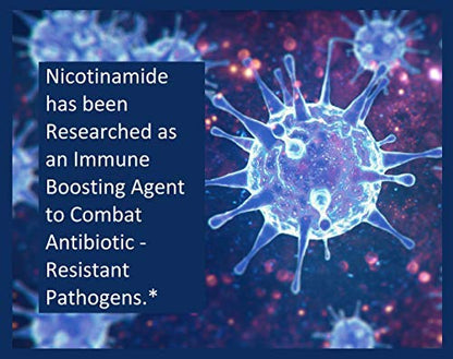 Nicotinamide 200 Count – 500 mg Niacinamide | Pure Affinity
