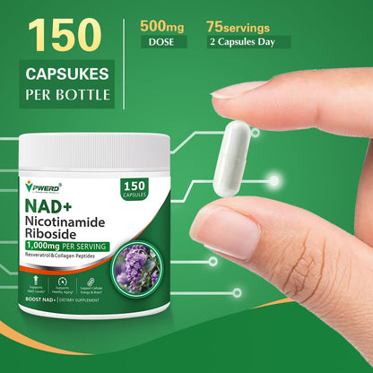 150 Caps NAD+ Trans-Resveratrol 1000mg – Pure Organic Liposomal NAD+ with Nicotinamide Riboside & Resveratrol for Women | Pwerd