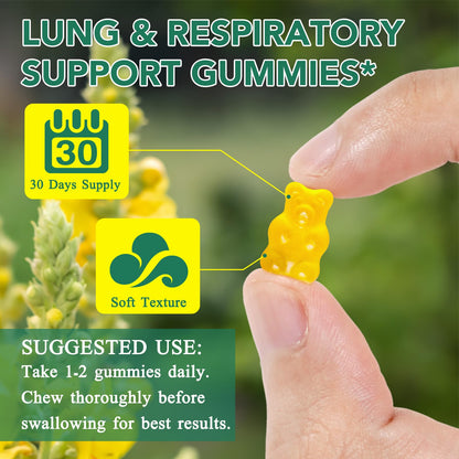 NIFEISHI Mullein Gummies for Lungs – 2000mg Mullein Leaf, Pear Flavor, 60 Gummies