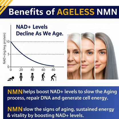 NMN Supplement 500mg Nicotinamide Mononucleotide | Supports NAD+ Levels, Energy, Cognitive Function, Muscle Health & Healthy Body Composition – Capsules (30)