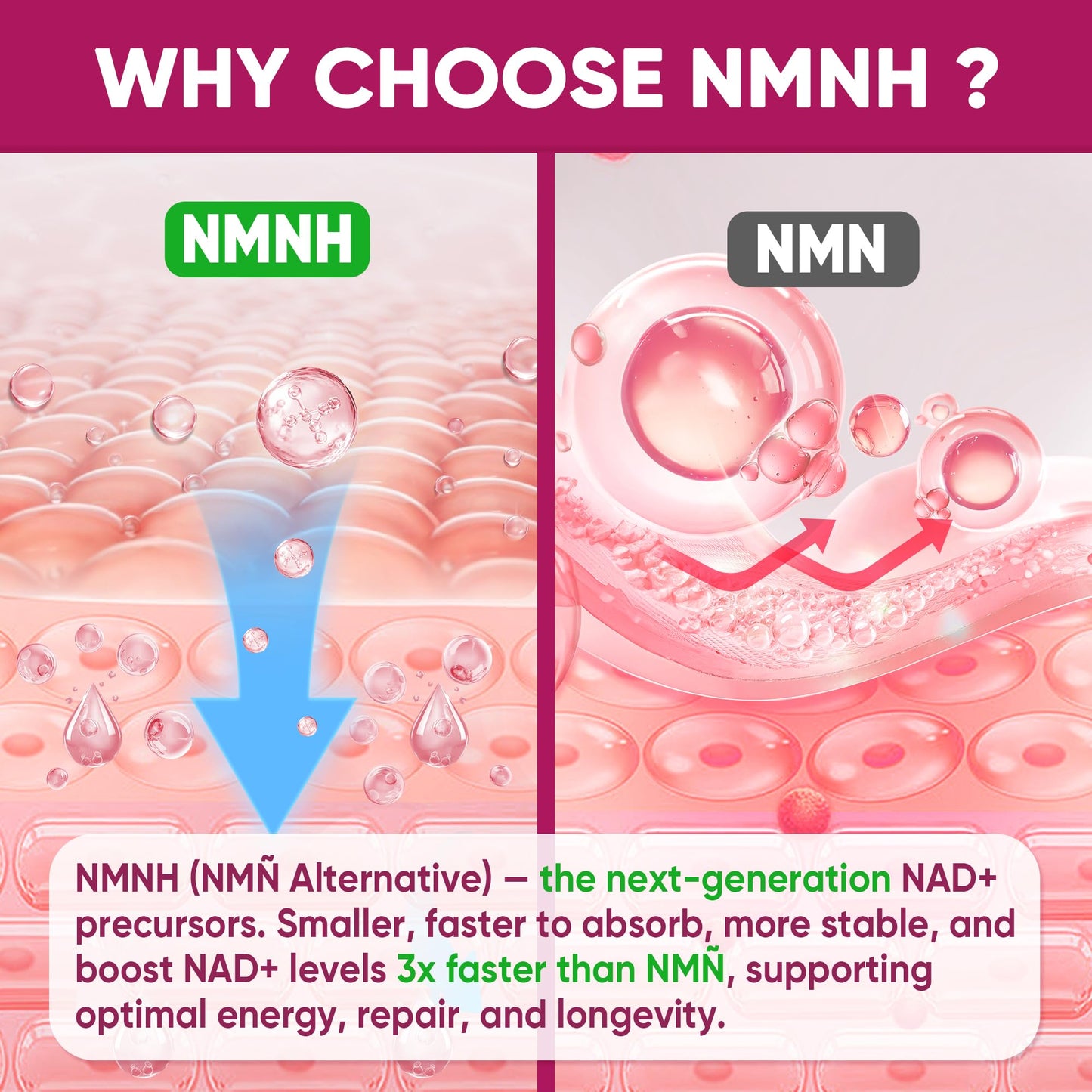 NMNH Gummies 300MG for Longevity – NAD+ Booster with Urolithin A, Polyphenols & Resveratrol | Sugar-Free 60ct