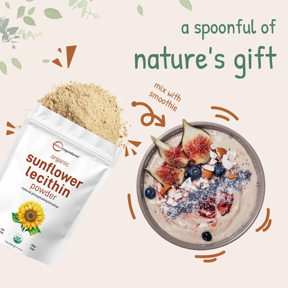 Organic Sunflower Lecithin Powder – 1 lb, Cold Pressed & Non-GMO