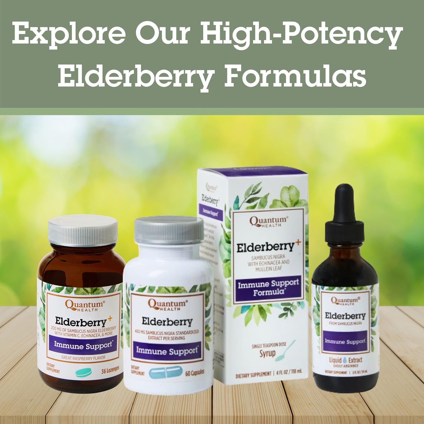 Quantum Health Black Elderberry Liquid Extract 700mg | Immune Support (Sambucus nigra) 2oz - Vegan