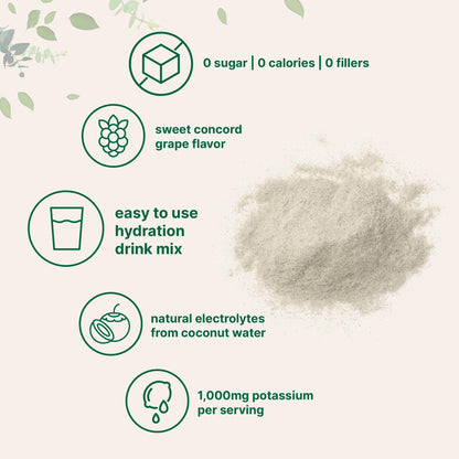 Micro Ingredients Hydration Electrolyte Powder – 2 lb (139 Servings) Concord Grape | High Potassium 1000 mg + Coconut Water | No Sugar, Keto, Non-GMO