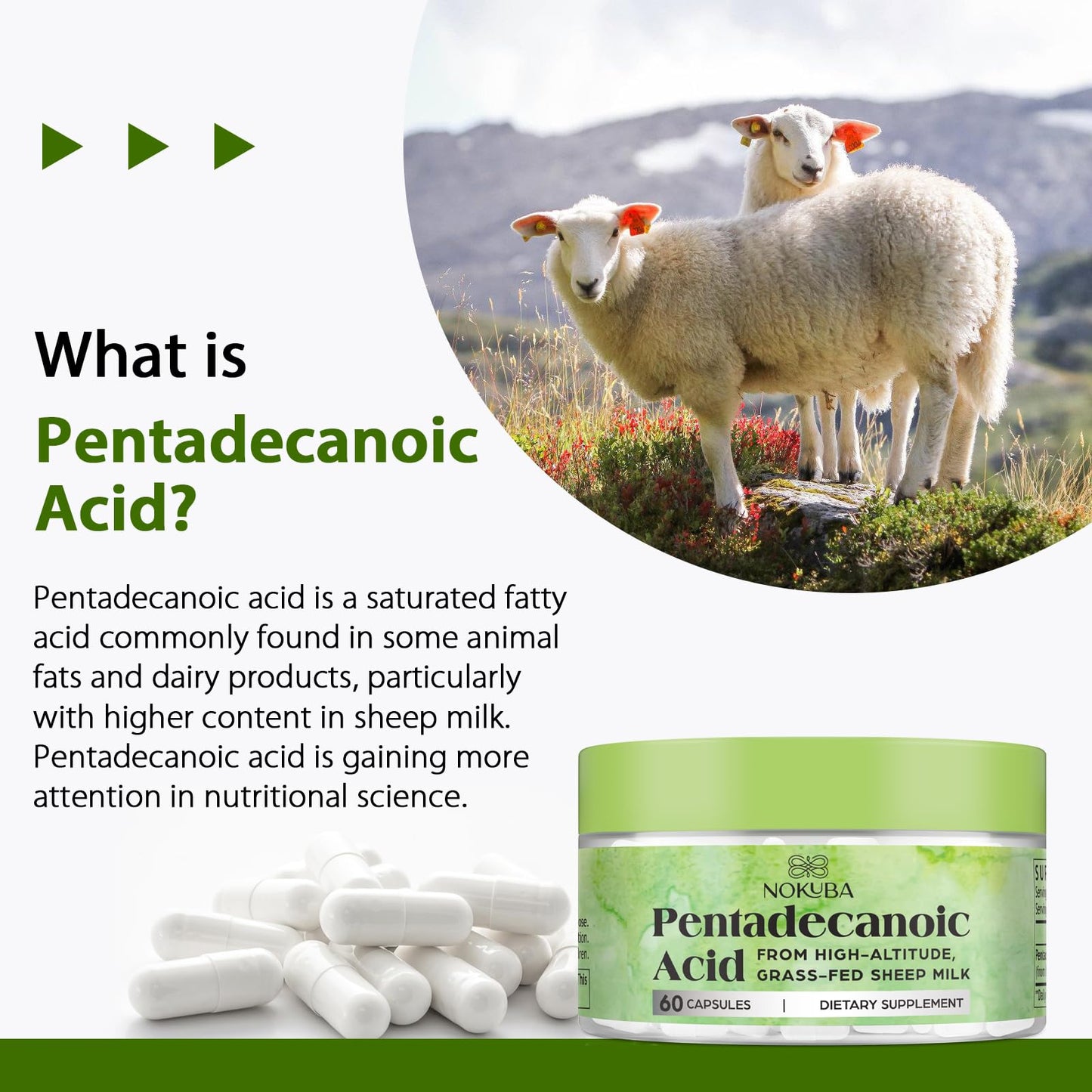 Nokuba Pentadecanoic Acid C15:0 300mg – High-Altitude Sheep Milk Sourced, 120 Capsules | USA Made