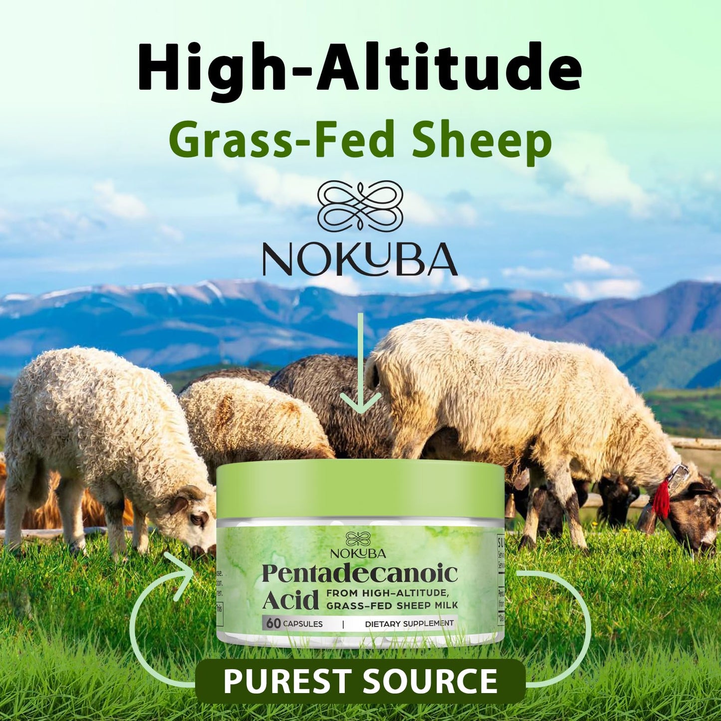 Nokuba Pentadecanoic Acid C15:0 300mg – High-Altitude Sheep Milk Sourced, 120 Capsules | USA Made