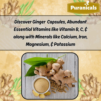 Puranicals Ginger Premium 320 Capsules – Non-GMO, Gluten Free, 700 mg per Serving, 100% Pure Ginger Root Powder
