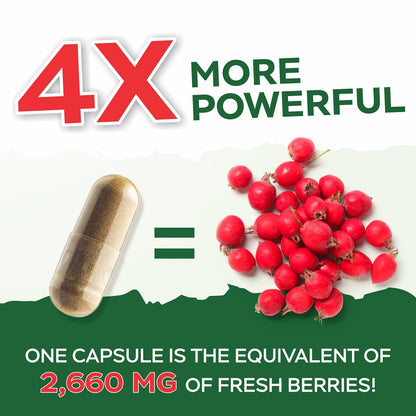 Purely Holistic Hawthorn Berry - 150 Vegan Capsules | 5 Month Supply | High Strength 4:1 Extract | Non-GMO