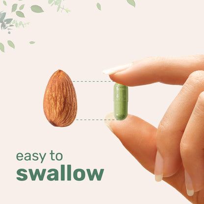 Micro Ingredients Moringa Oleifera 300 Capsules | Immune Support & Energy | Non-GMO