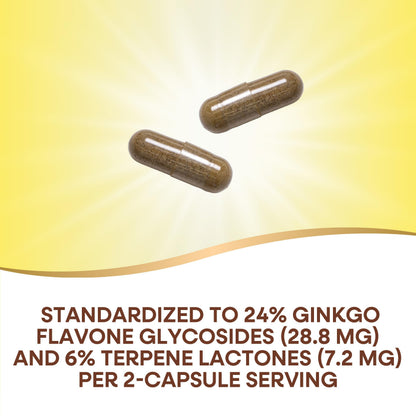 Nature's Way Premium Ginkgo Memory & Concentration – 120 Capsules