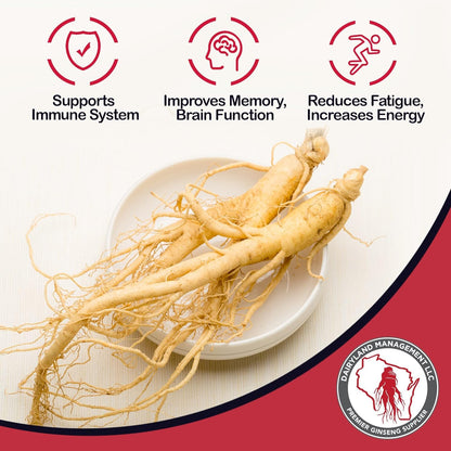 Dairyland Concentrated American Ginseng Powder 西洋参 - 8 oz Pack of Wisconsin Ginseng Powder - Non-GMO, Gluten Free - Herbal Supplement for Smoothies, Baking, Tea