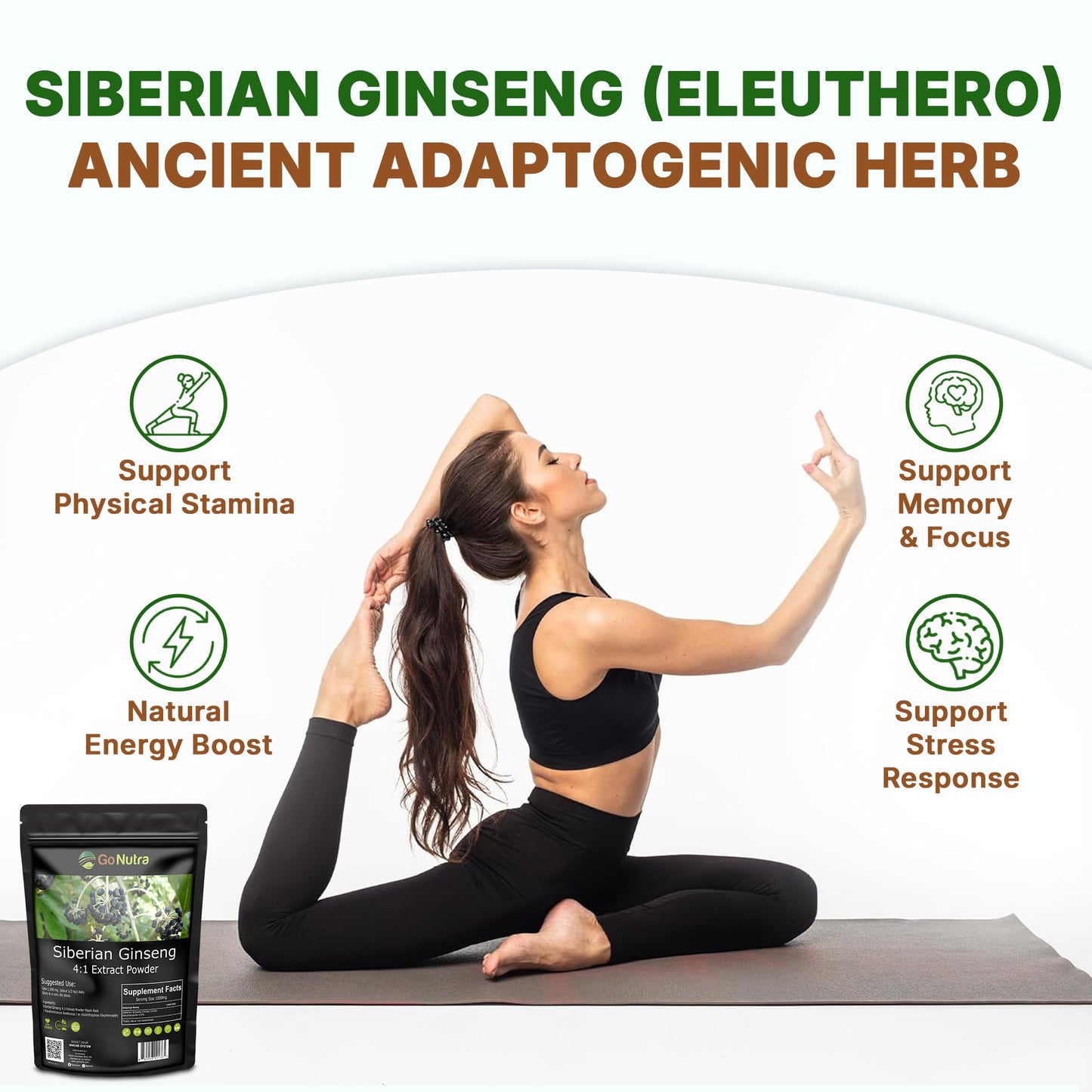 Go Nutra Siberian Ginseng - Eleuthero Root Powder 4:1 Extract | Energy & Stamina | Non-GMO | 4 oz