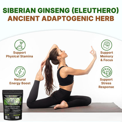 Go Nutra Siberian Ginseng - Eleuthero Root Powder 4:1 Extract | Energy & Stamina | Non-GMO | 4 oz
