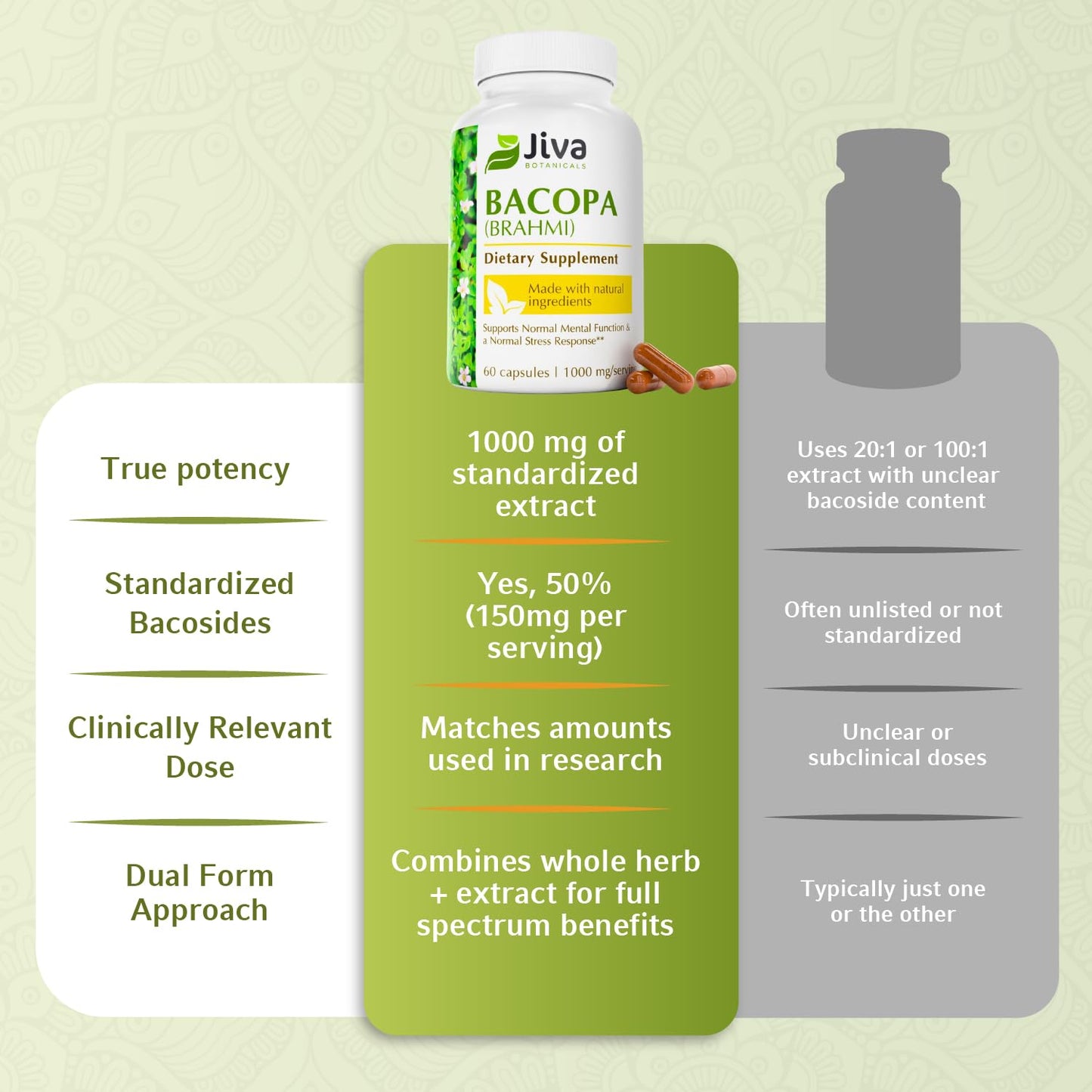 Jiva Botanicals Bacopa Monnieri 1000mg – Focus & Memory Support (60 Capsules)