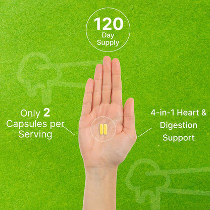 Nattokinase 4,000 FU – 240 Veggie Capsules | Heart Health & Digestion | Vegan