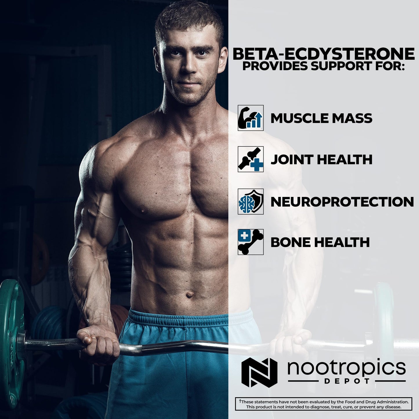 Nootropics Depot Beta Ecdysterone 50% Tablets (500mg) – Cyanotis Arachnoidea Extract, 30 Count
