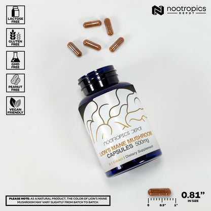 Nootropics Depot Lion's Mane Mushroom Capsules 500mg | 60 Count | 8:1 Dual Extract