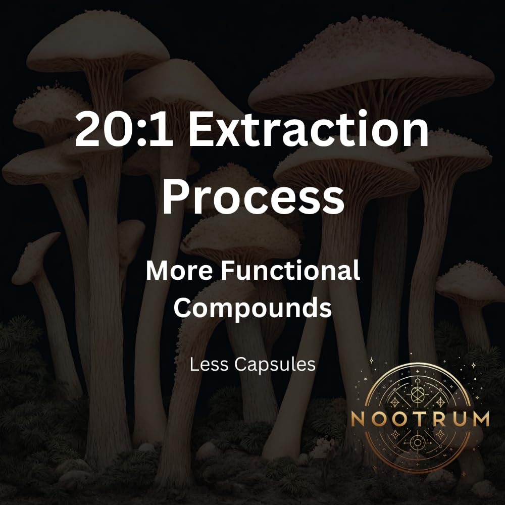 Nootrum Mushrooms | 1 Month Capsule Supply with Lion's Mane, Cordyceps & Reishi