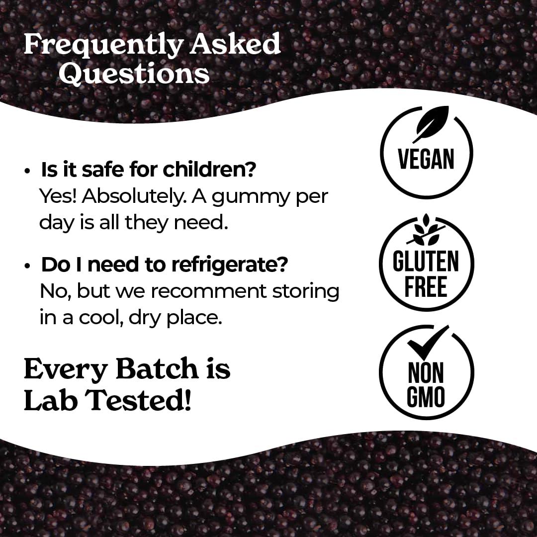 Norm's Farms Organic Elderberry Gummies - Daily Immune Support for Adults & Kids