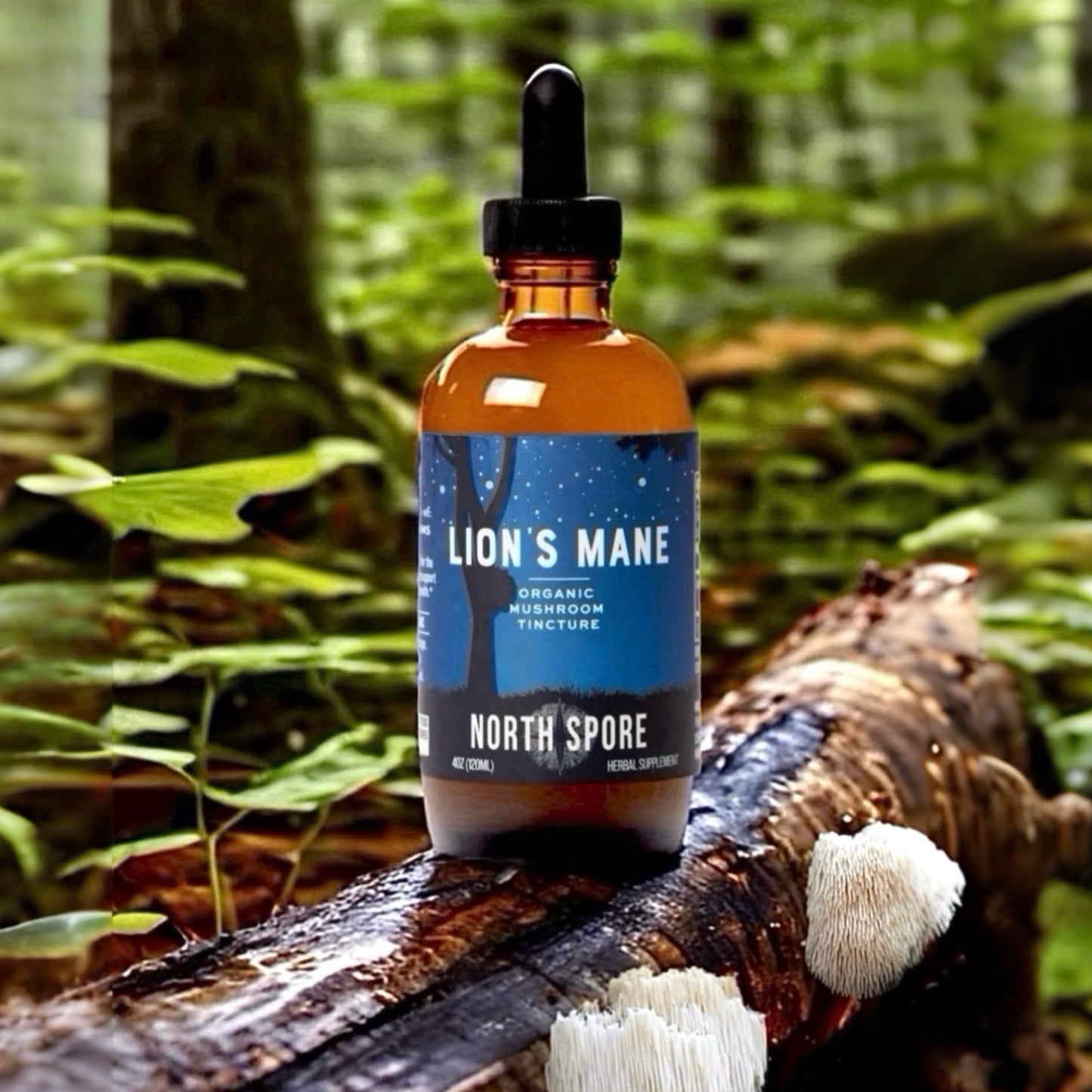 North Spore Organic Lion's Mane Mushroom Tincture (4 oz) | 100% Fruiting Body Extracts | for Focus, Memory, Brain Support | Certified Organic, Vegan, Non-GMO | Adaptogenic, Nootropic | Made in USA