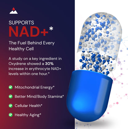 Novex Biotech Oxydrene NAD+ Enhancer – Metabolism & Cardiovascular Support (60 Capsules)