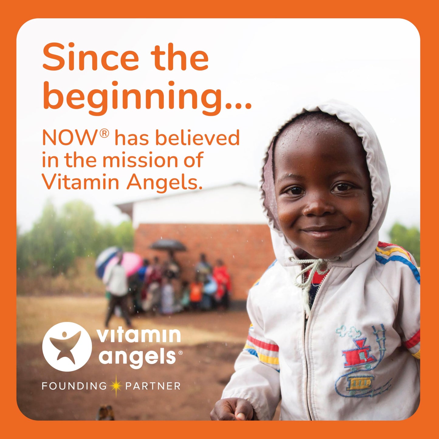 NOW Foods Alfalfa 650 mg – Green Superfood, Vitamin K | 250 Tablets