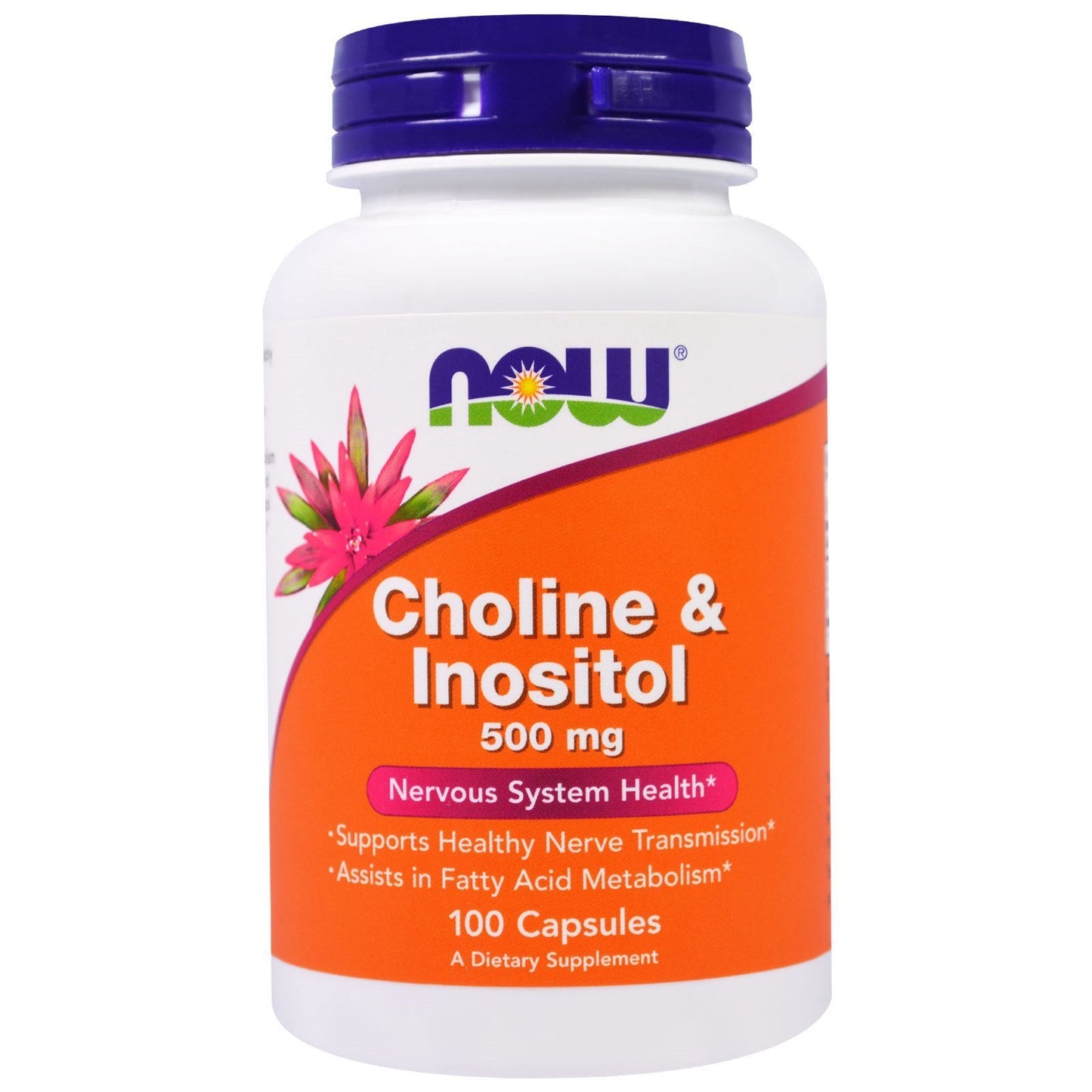 Now Foods Choline & Inositol 500 mg (3 Pack) – 100 Capsules | Nervous System Support