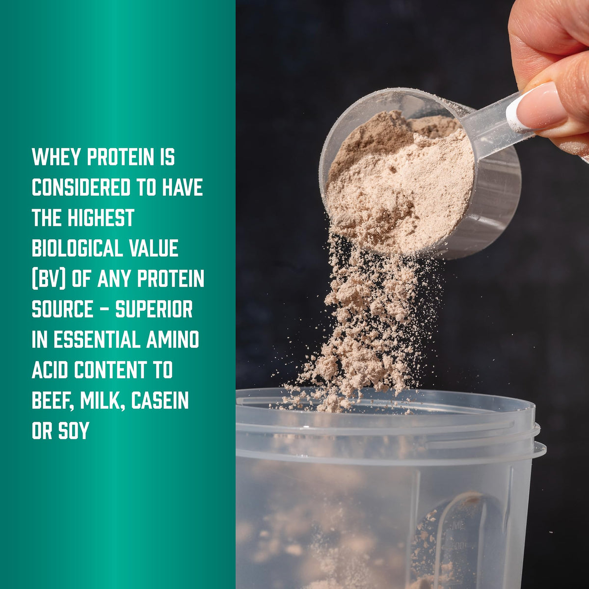 NOW Foods Whey Protein with BCAAs, Creamy Vanilla, 26 g Protein per Serving - 10 lb