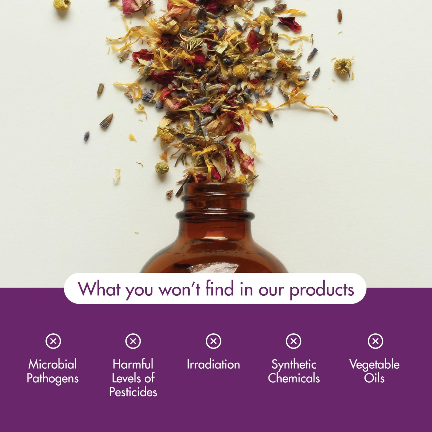 NOW Essential Oils Oregano Oil – 2 oz, Steam-Distilled, 100% Pure, Vegan