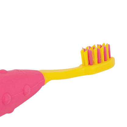 NUK Toddler Tooth & Gum Cleanser with Toothpaste – Fluoride Free, 12m+, Mixed Berry (Colors May Vary)