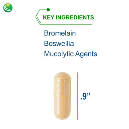 Nutra BioGenesis Pulmonary Factors – NAC & Boswellia Capsules for Digestive Support & Joint Comfort – 90 Veggie Capsules