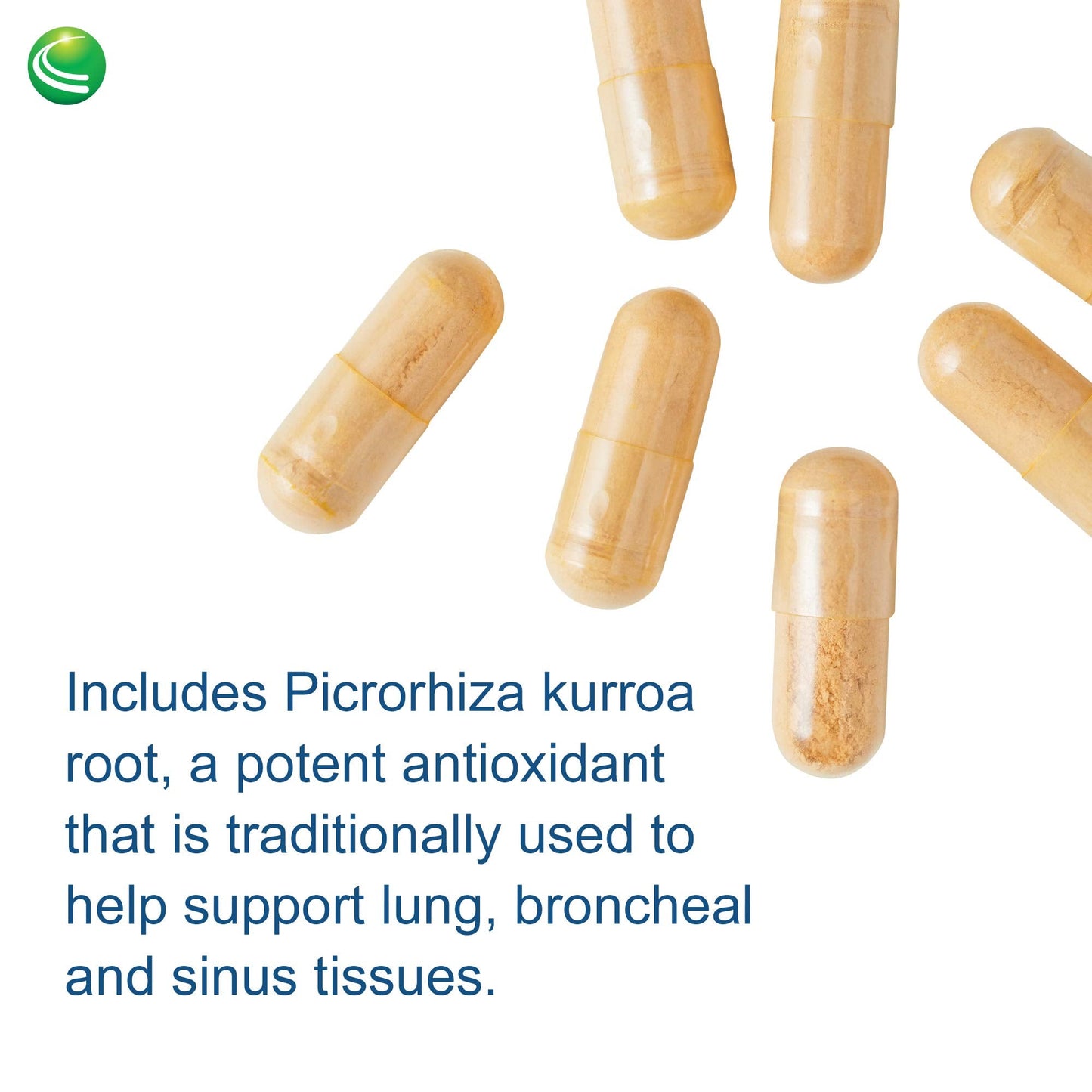 Nutra BioGenesis Pulmonary Factors – NAC & Boswellia Capsules for Digestive Support & Joint Comfort – 90 Veggie Capsules