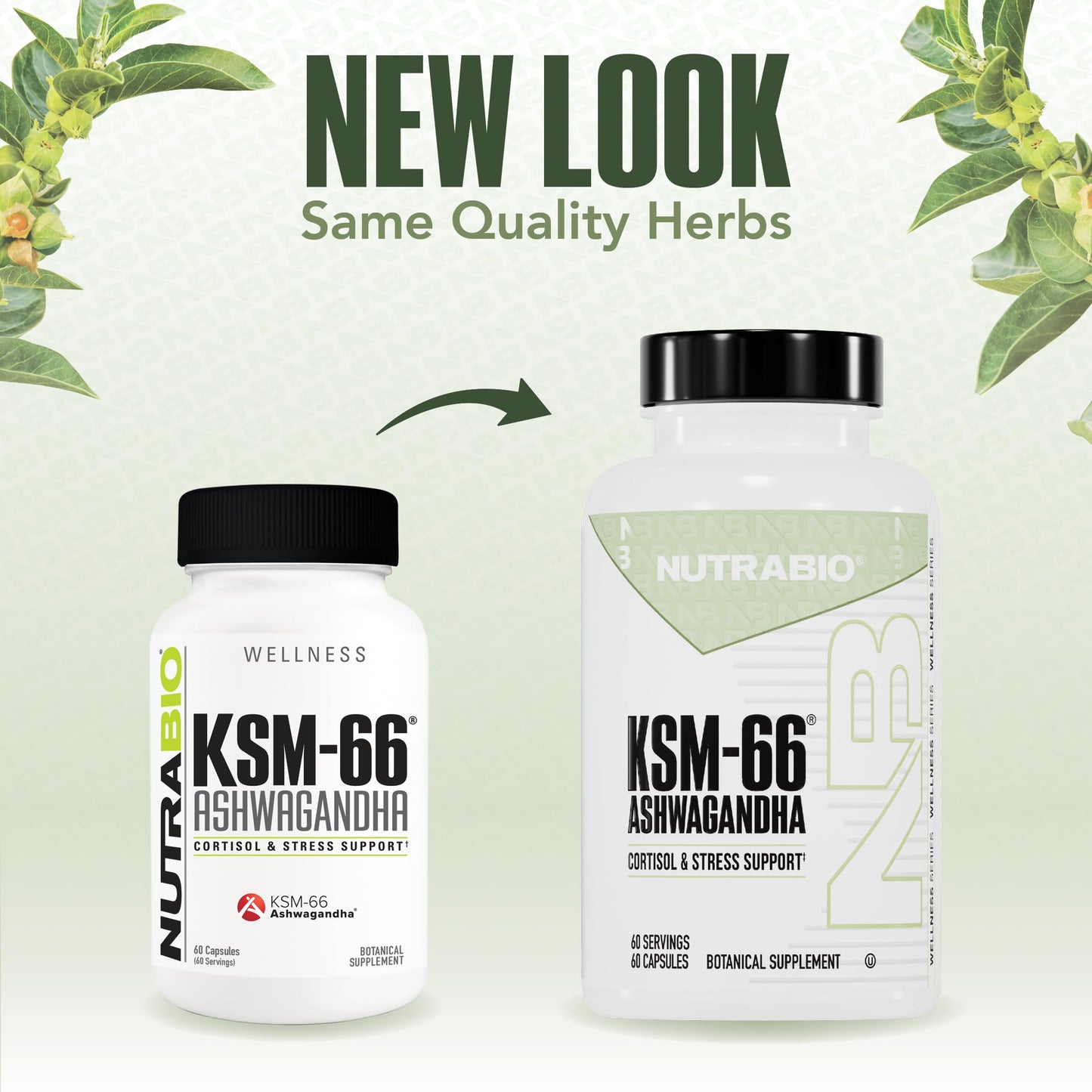 NutraBio Ashwagandha KSM-66 – Ashwagandha Herbal Supplement for Stress, Mood & Performance | 600 mg, 60 Capsules