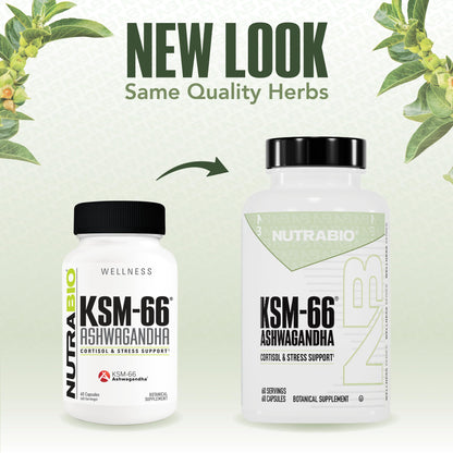 NutraBio Ashwagandha KSM-66 – Ashwagandha Herbal Supplement for Stress, Mood & Performance | 600 mg, 60 Capsules