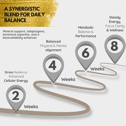 NutraHerds Men’s Vitality & Testosterone Support | Tongkat Ali & Ashwagandha