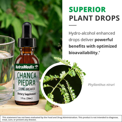 NutraMedix Chanca Piedra Stone Breaker Drops - Liquid Kidney & Liver Health Supplement (1oz / 30ml)