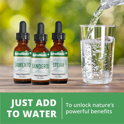 NutraMedix Maca Liquid Tincture – Mood Support Drops (2oz/60ml) | Peruvian Maca Root