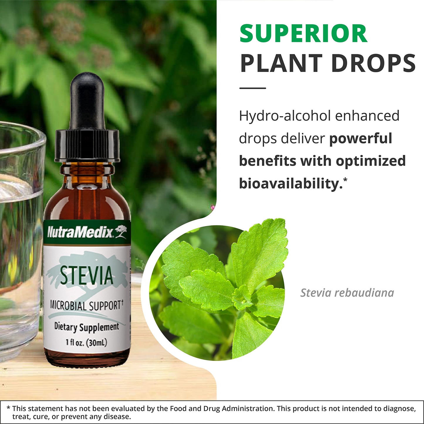 NutraMedix Stevia Drops - Bioavailable Liquid Stevia (1 oz / 30 ml)