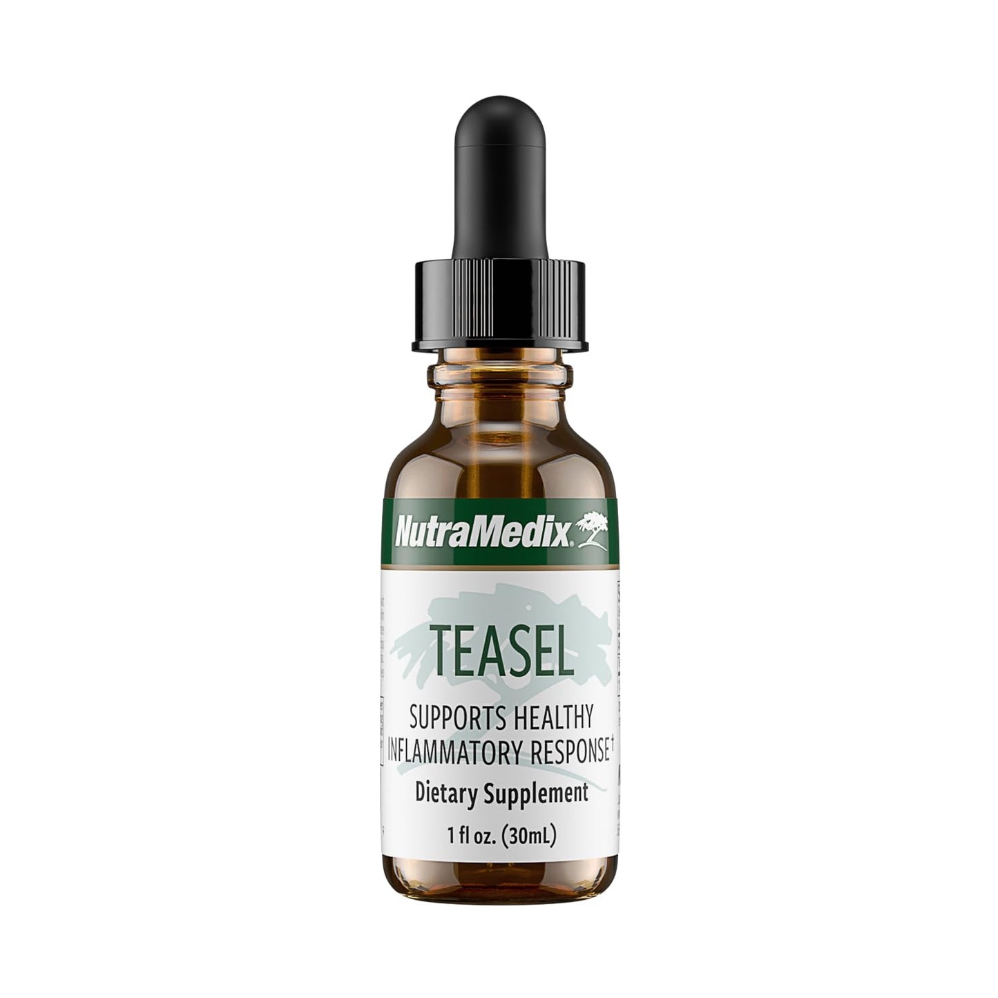 NutraMedix Teasel Root Wellness Drops – Fuller’s Teasel Extract | Antioxidant Support (1oz/30ml)