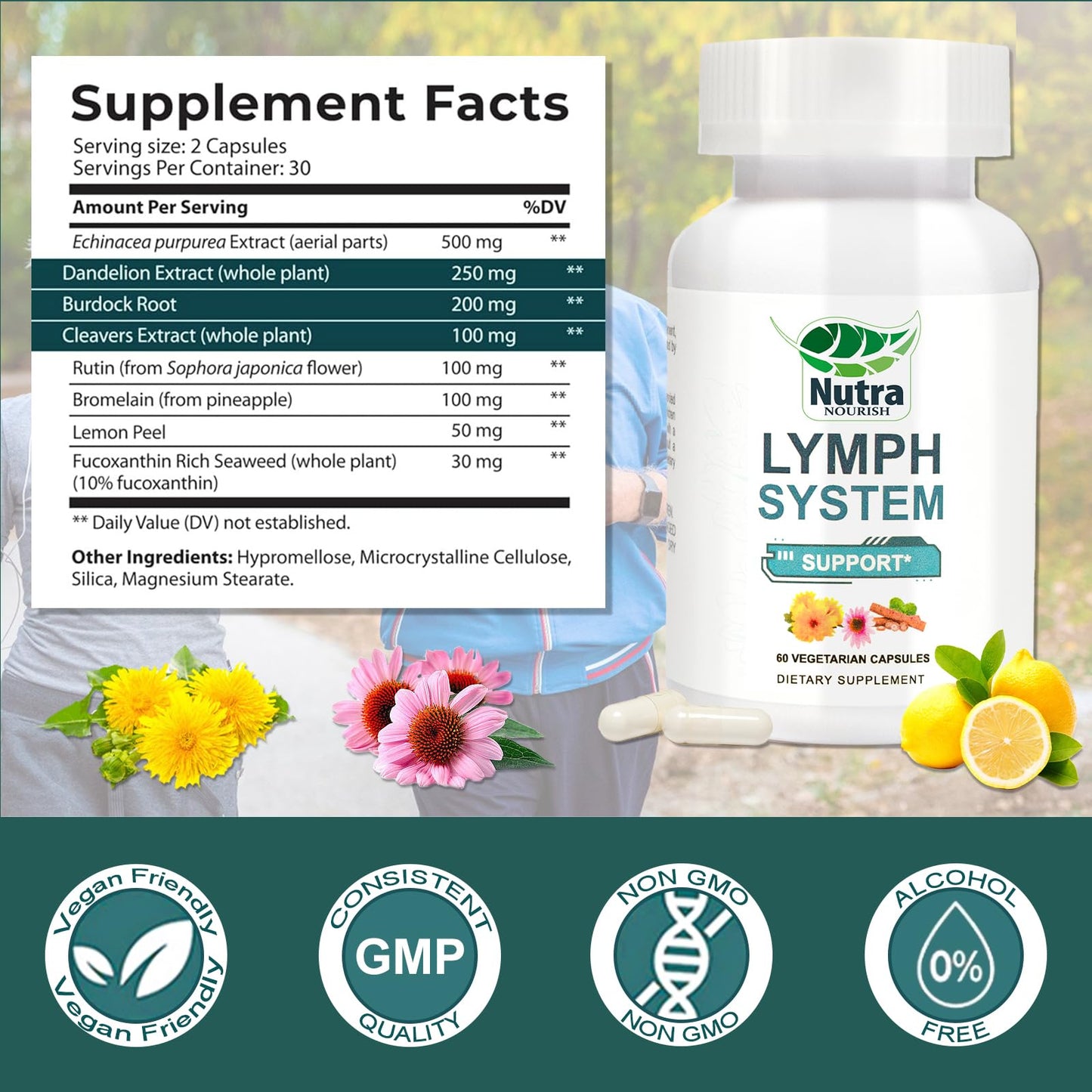 NutraNourish Lymphatic Drainage Supplement with Dandelion, Echinacea & Bromelain Extracts - Lymph System Support for Men and Women - 60 Count Bottles
