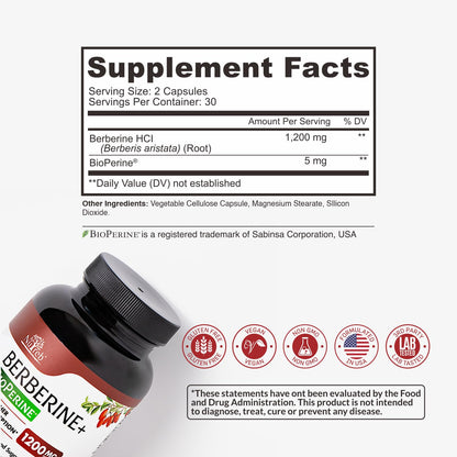 Nutreb Berberine 1200mg — 5X Absorption, Immune & Metabolic Support, USA Made