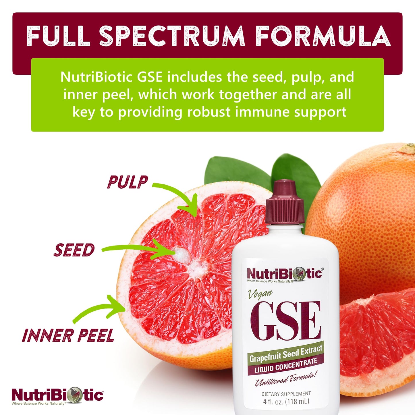 NutriBiotic GSE 4 Oz Liquid | Grapefruit Seed Extract Premium Concentrate with Bioflavonoids