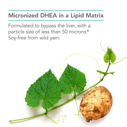 Nutricology DHEA 25mg - Micronized Lipid Matrix, Soy-Free, 60 Count